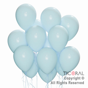 GLOBO FIESTA LOCA 12